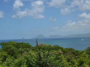 Le petit paradis perché d'Aurélie